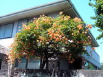 PDR_0112.JPG