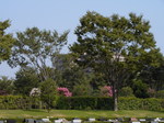 PDR_0130.JPG