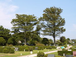 PDR_0131.JPG